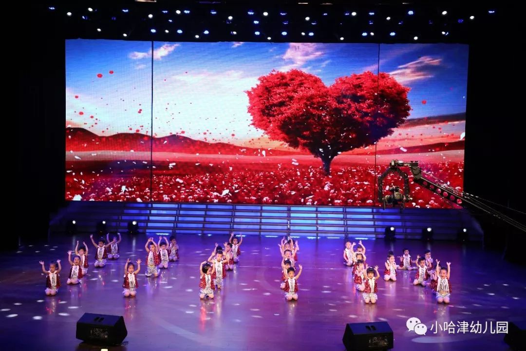 446A1188_爱奇艺.jpg